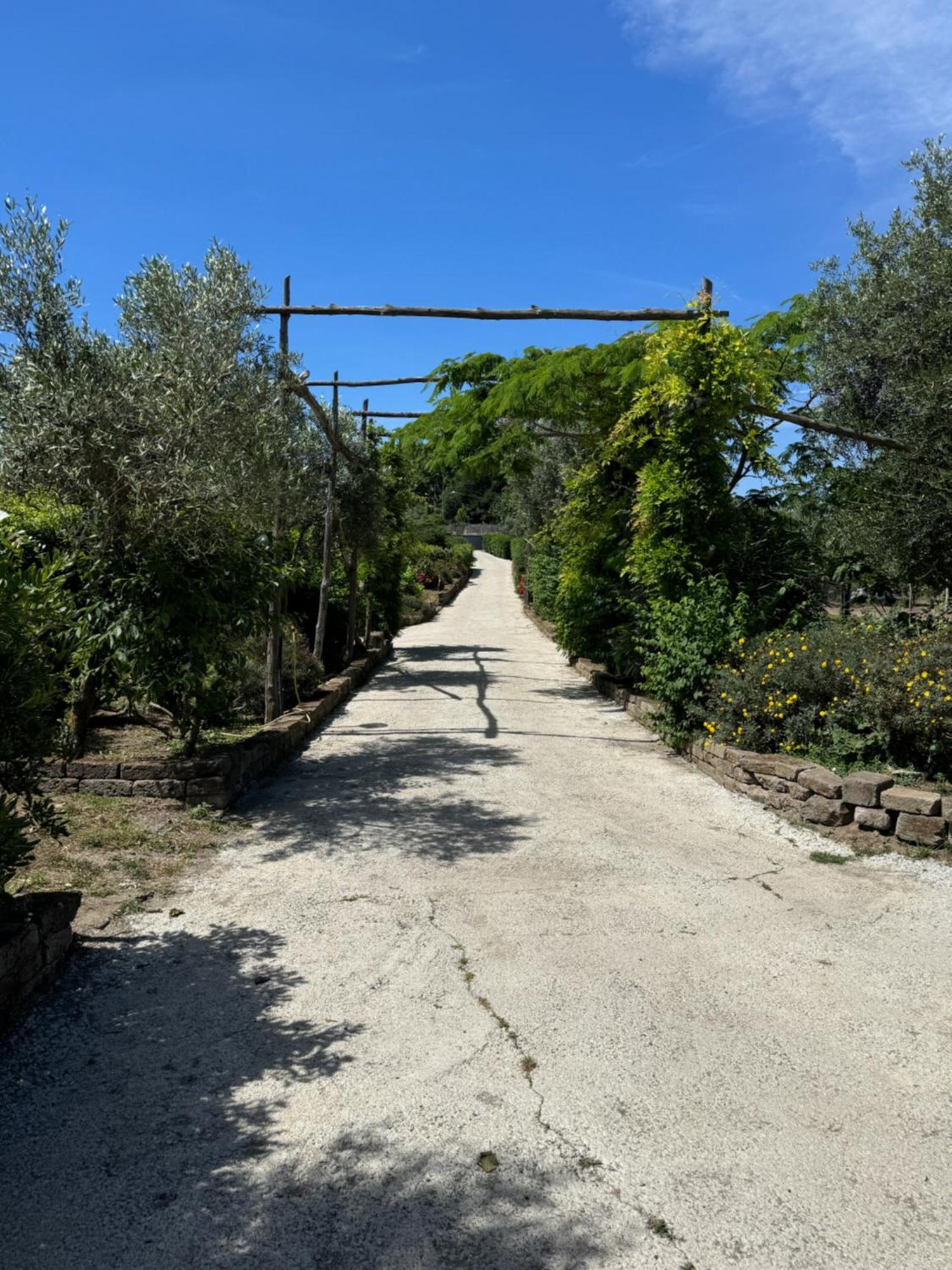 Agriturismo Piccolo Paradiso Piano di Sorrento Kültér fotó
