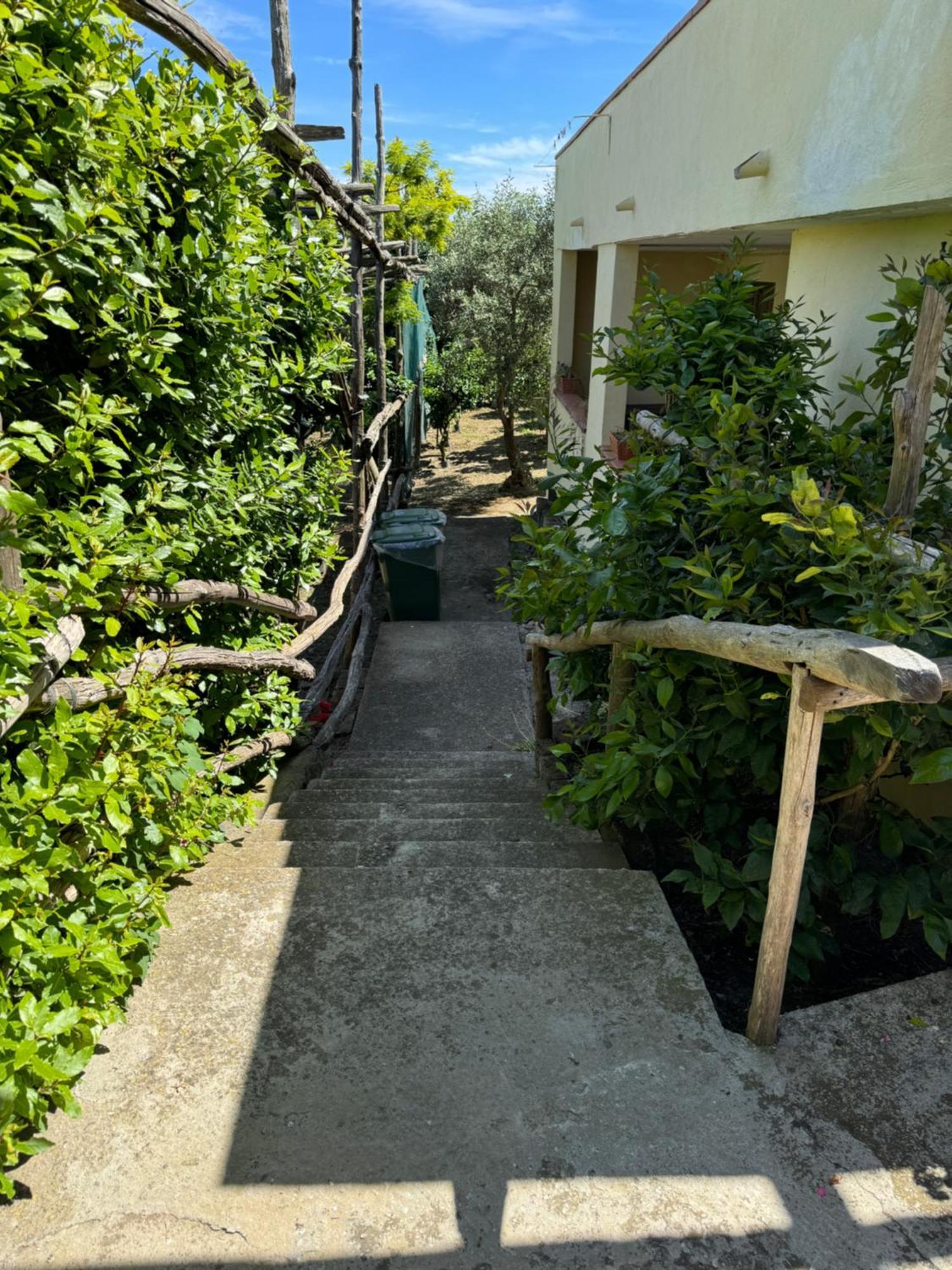 Agriturismo Piccolo Paradiso Piano di Sorrento Kültér fotó