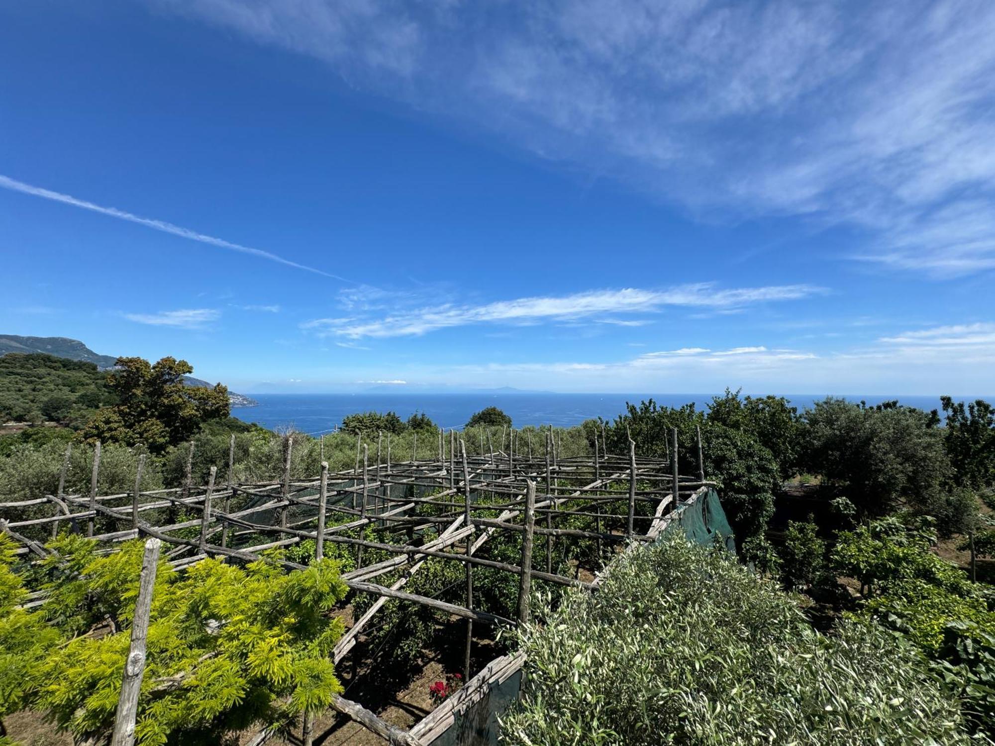 Agriturismo Piccolo Paradiso Piano di Sorrento Kültér fotó