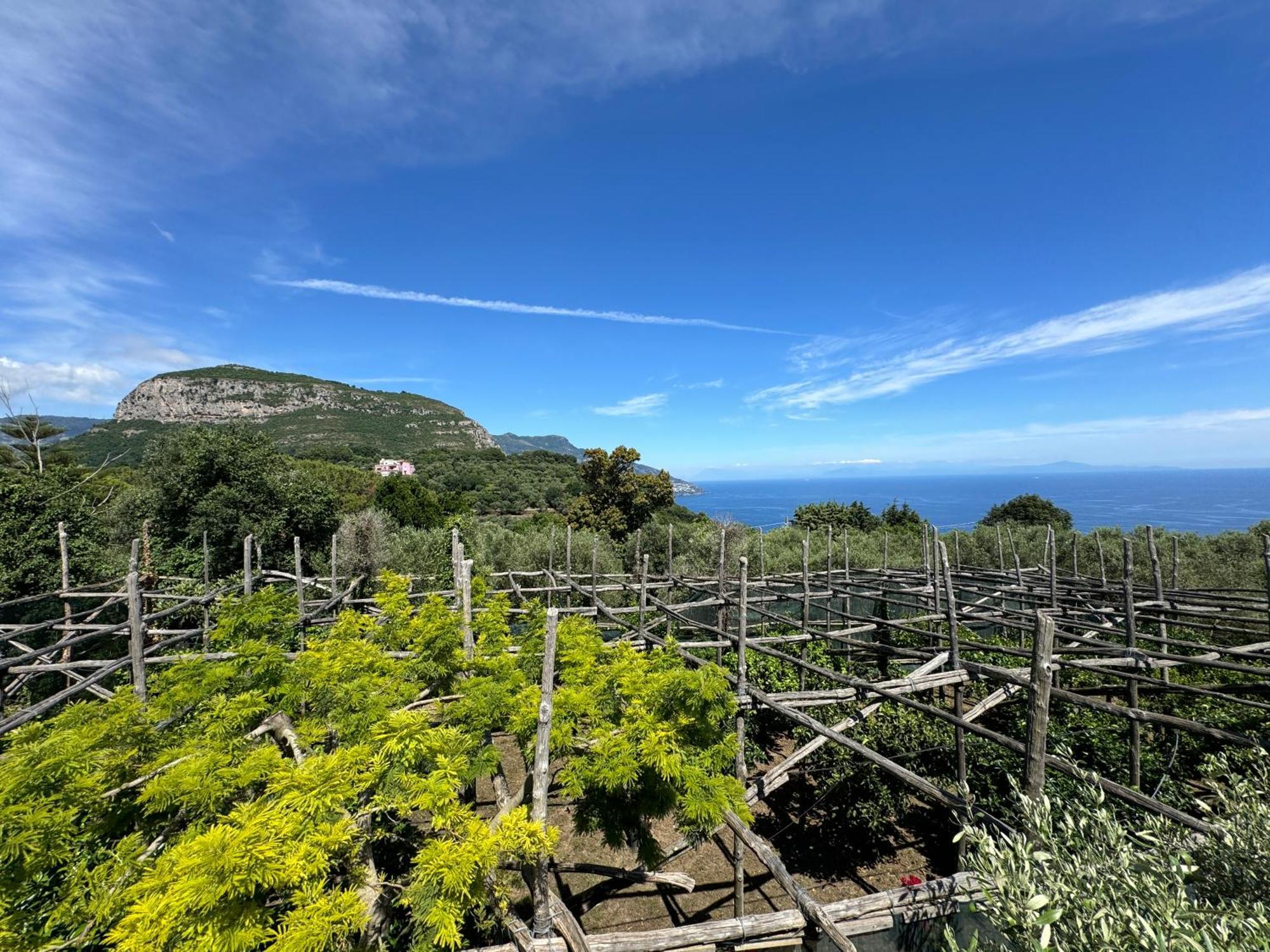 Agriturismo Piccolo Paradiso Piano di Sorrento Kültér fotó