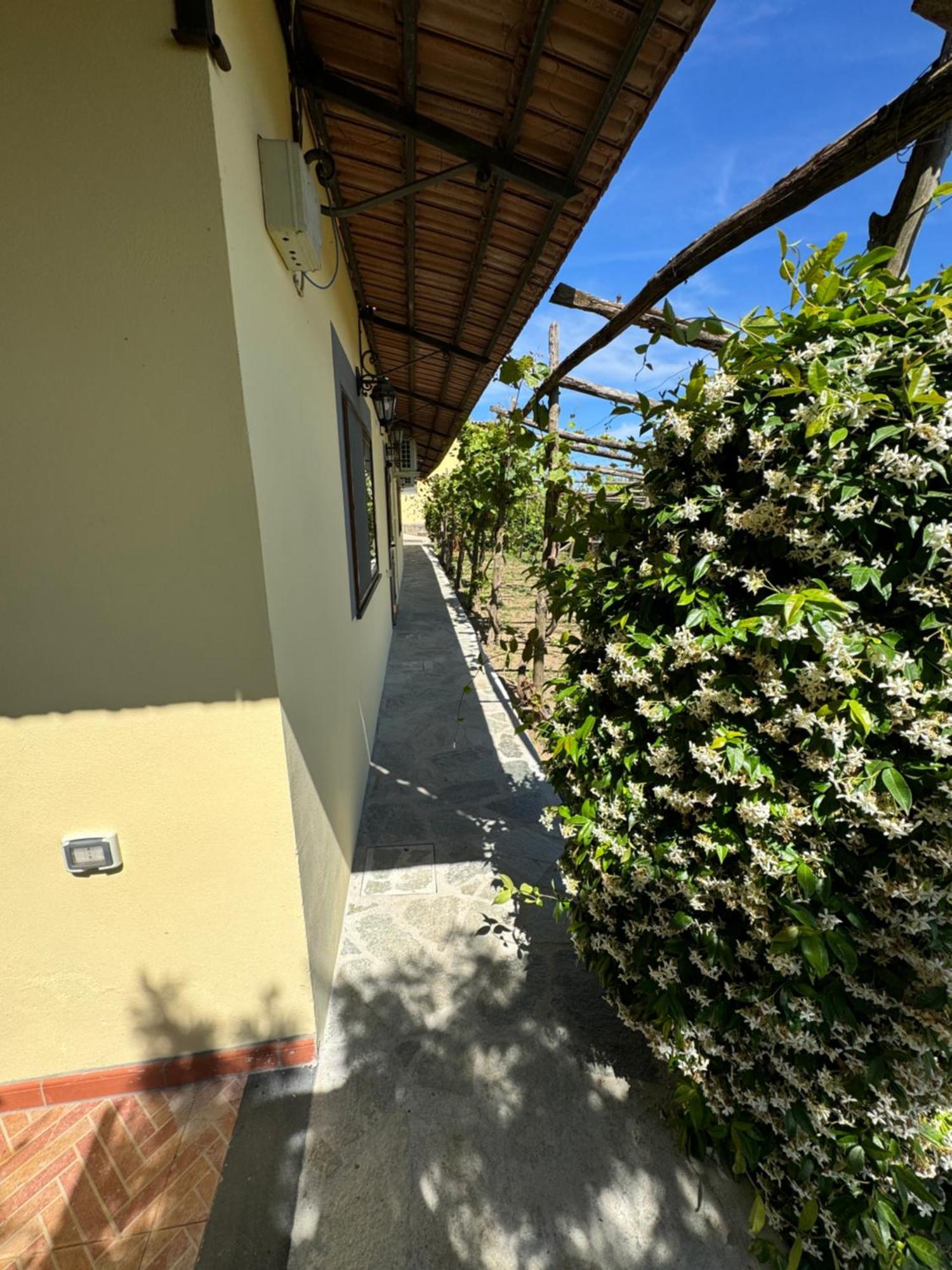 Agriturismo Piccolo Paradiso Piano di Sorrento Kültér fotó