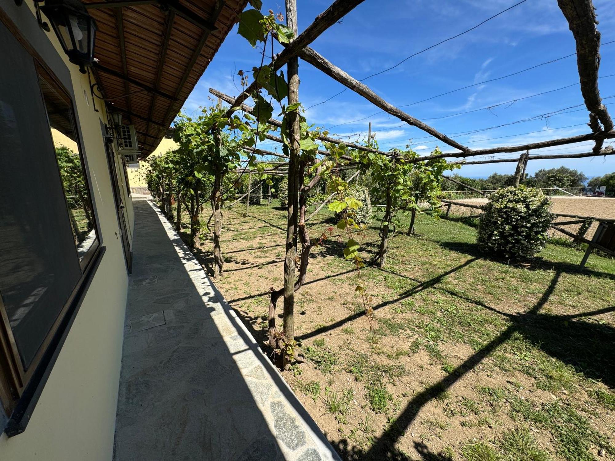 Agriturismo Piccolo Paradiso Piano di Sorrento Kültér fotó