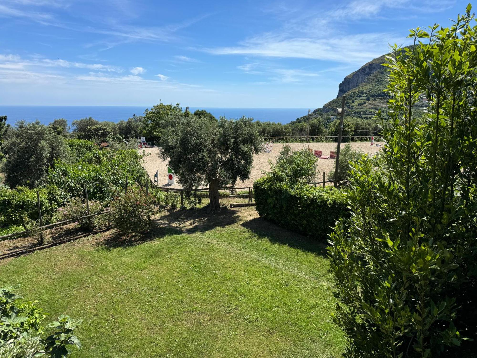 Agriturismo Piccolo Paradiso Piano di Sorrento Kültér fotó