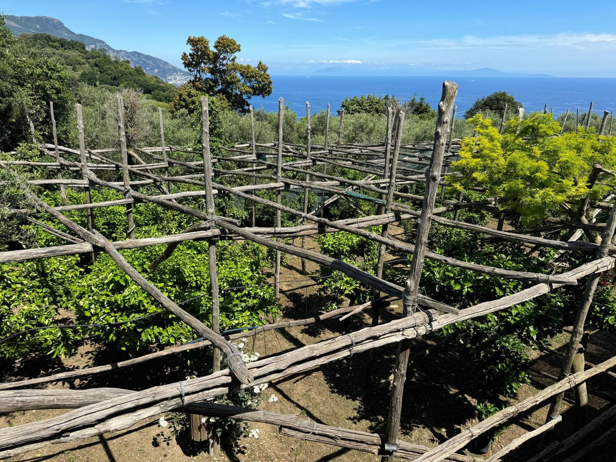 Agriturismo Piccolo Paradiso Piano di Sorrento Kültér fotó