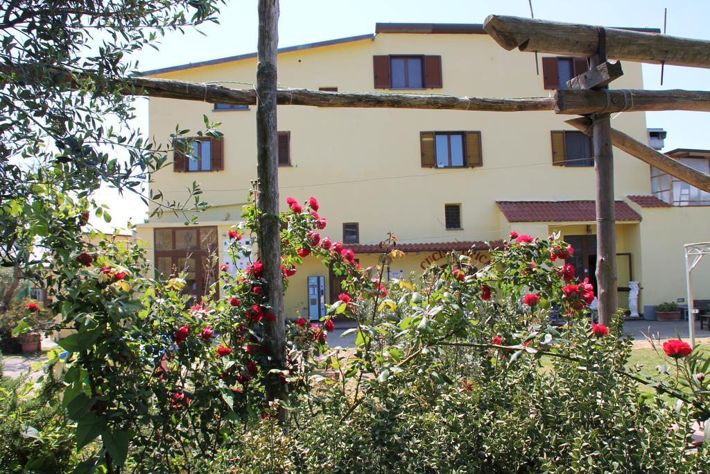 Agriturismo Piccolo Paradiso Piano di Sorrento Kültér fotó