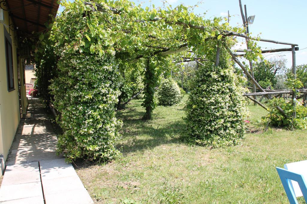 Agriturismo Piccolo Paradiso Piano di Sorrento Kültér fotó