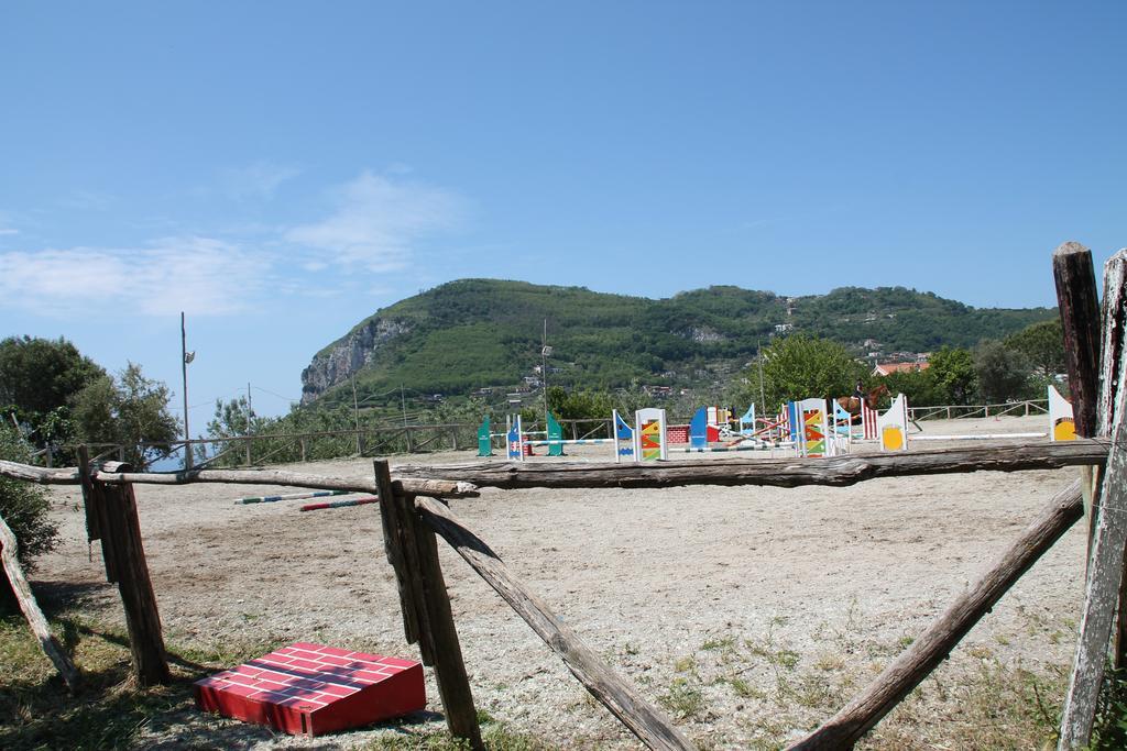 Agriturismo Piccolo Paradiso Piano di Sorrento Kültér fotó