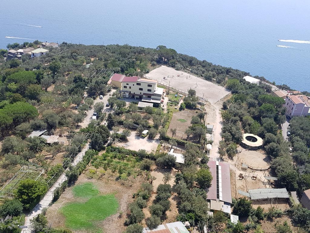 Agriturismo Piccolo Paradiso Piano di Sorrento Kültér fotó
