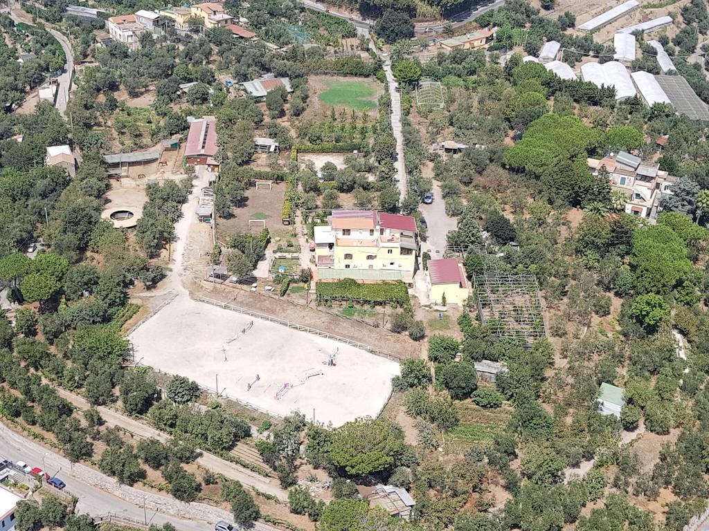 Agriturismo Piccolo Paradiso Piano di Sorrento Kültér fotó