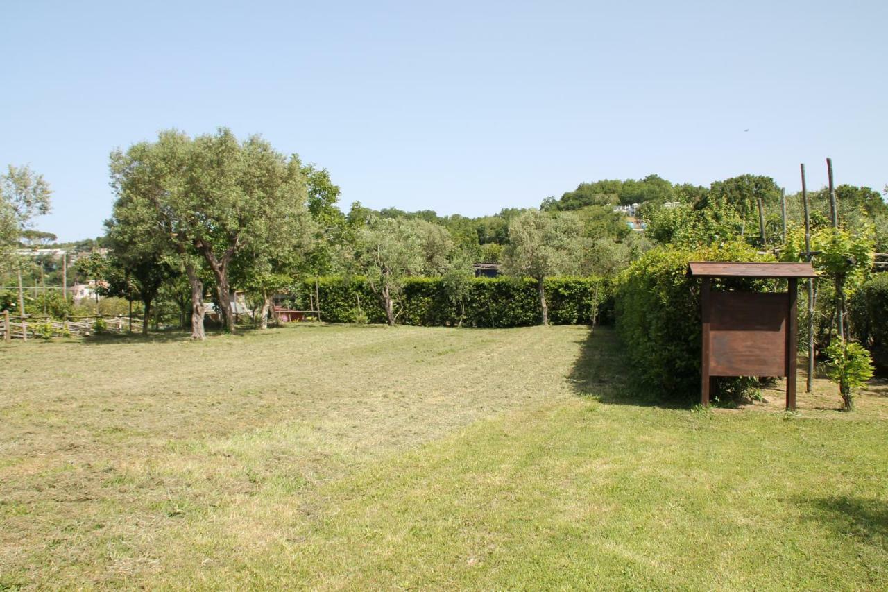Agriturismo Piccolo Paradiso Piano di Sorrento Kültér fotó